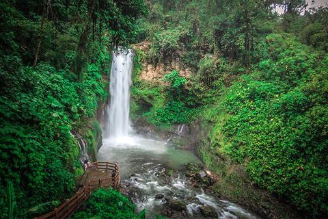 Combo Tour: Volcán Poás - Café Doka - Jardines Catarata La Paz